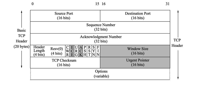 TCP报文格式